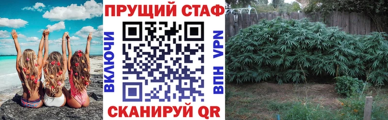Купить закладку Cocaine  АМФ  Галлюциногенные грибы  Меф  Альфа ПВП  ГАШИШ  Кушва