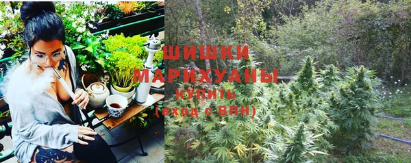 спиды Пестово